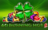 40 Burning Hot 6 Reels